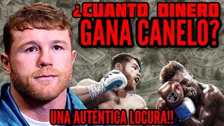 ¡UNA LOCURA! Se REVELA CUANTO GANÓ Canelo Álvarez en sus 5 PELEAS MÁS LUCRATIVAS dentro del boxeo