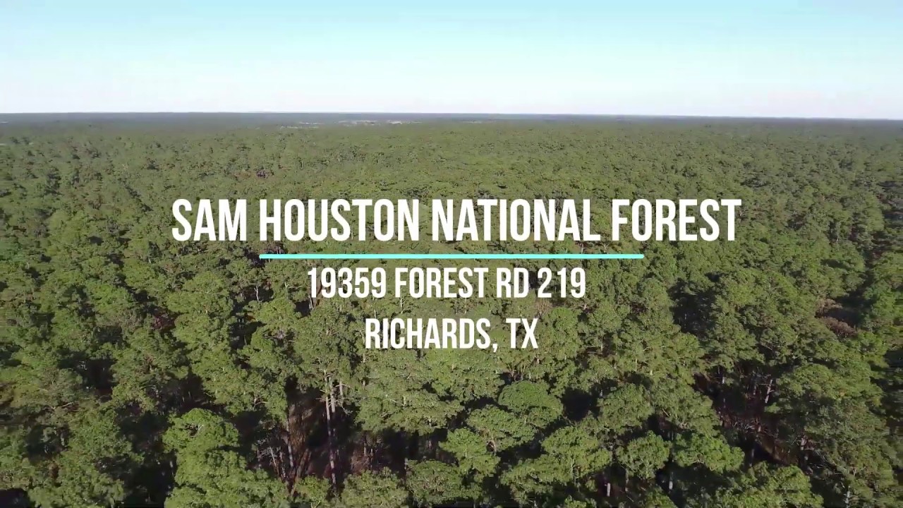 19 Acres For Sale in Sam Houston National Forest YouTube