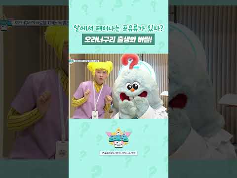 🐤오리는 알을 낳고, 🦝너구리는 새끼를 낳는데...그렇다면 오리너구리는? #shorts