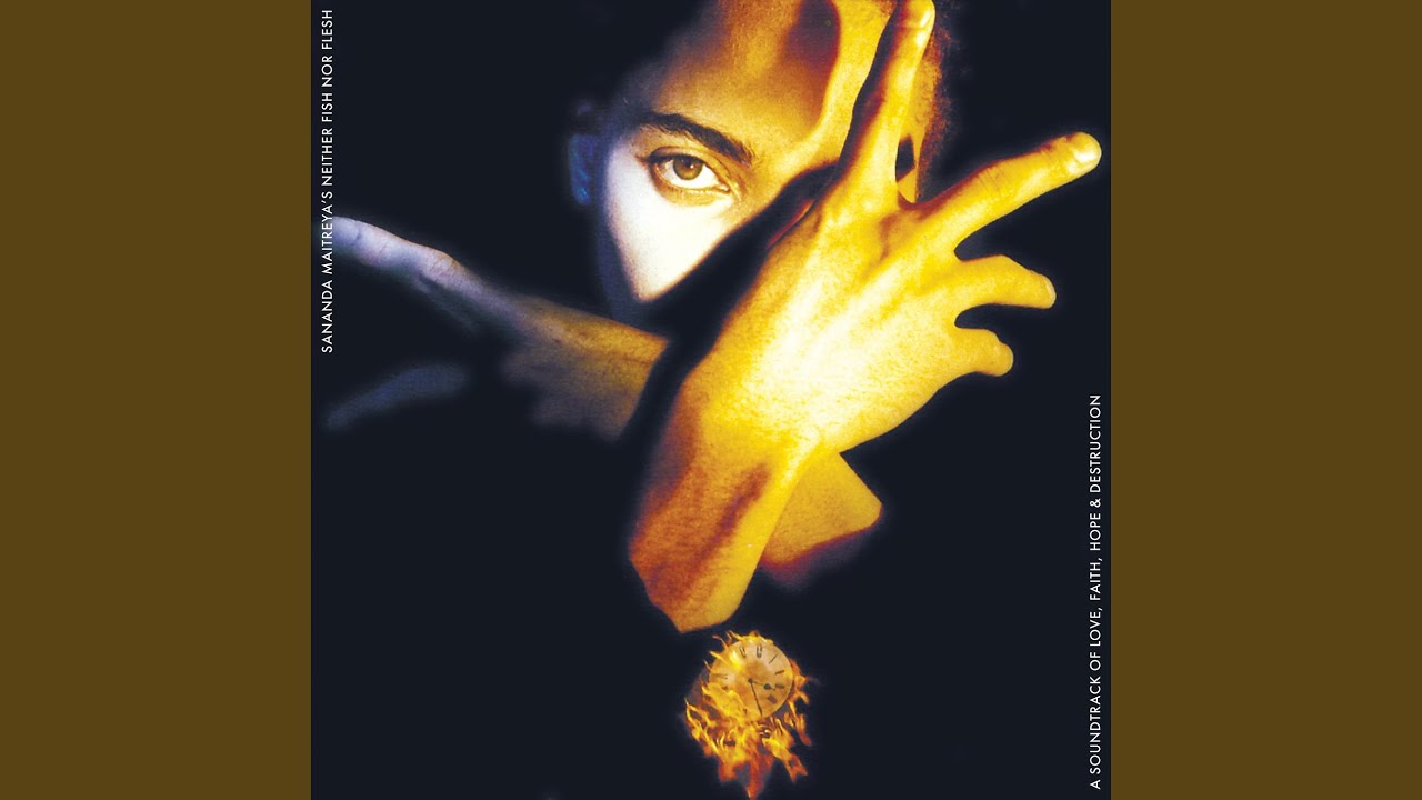 TERENCE TRENT D