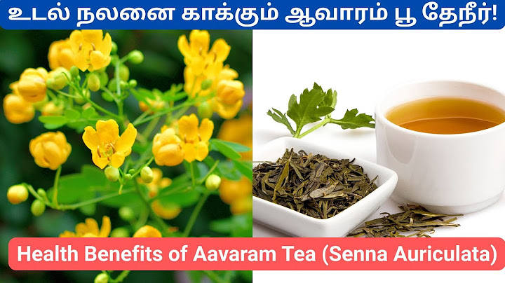 உடல் நலனை காக்கும் ஆவாரம் பூ தேநீர் !! Health Benefits of Aavaram Tea (Senna Auriculata Tea)!!!