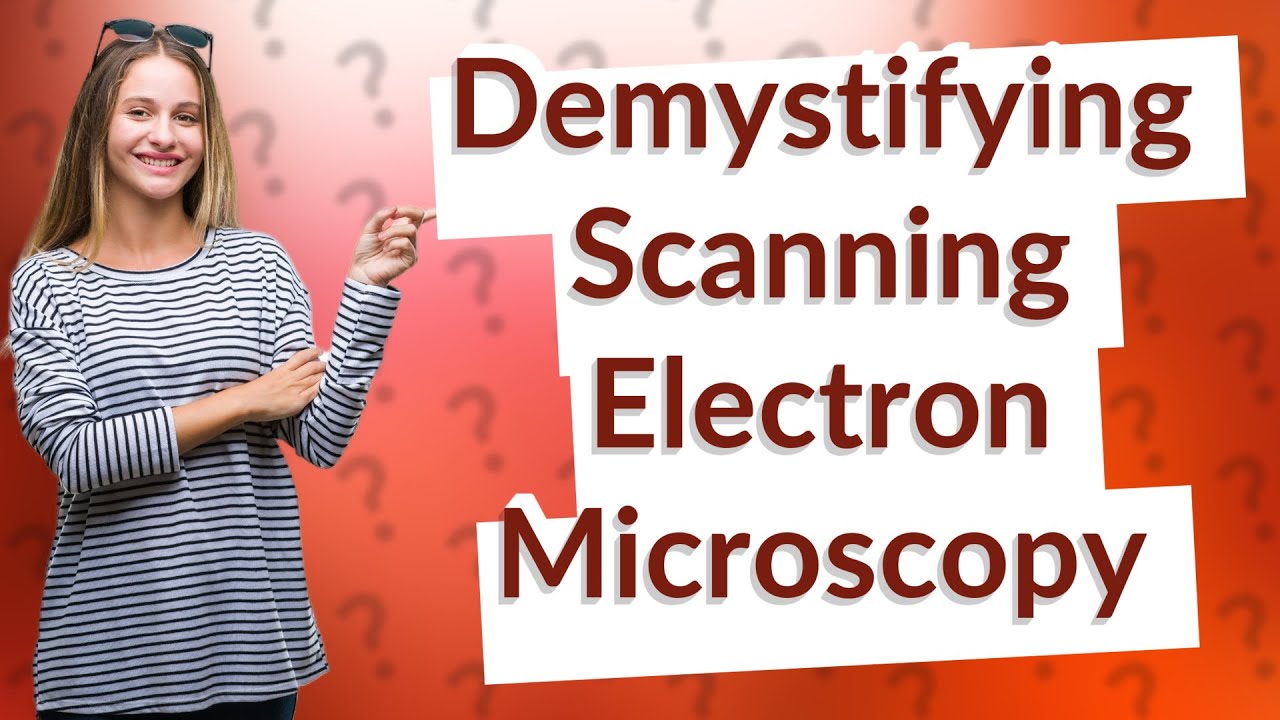 How Does Scanning Electron Microscopy Work? Uncovering Its Principles ...