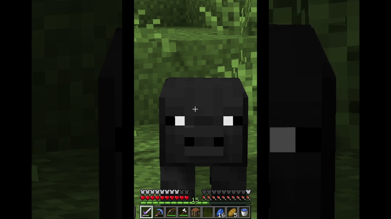 PIGGA RETURNS!!!