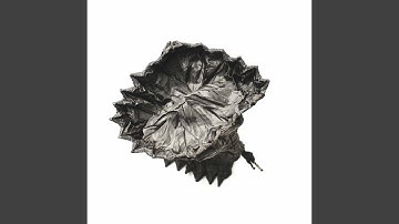 Sublime Backdrops for Fun Summers