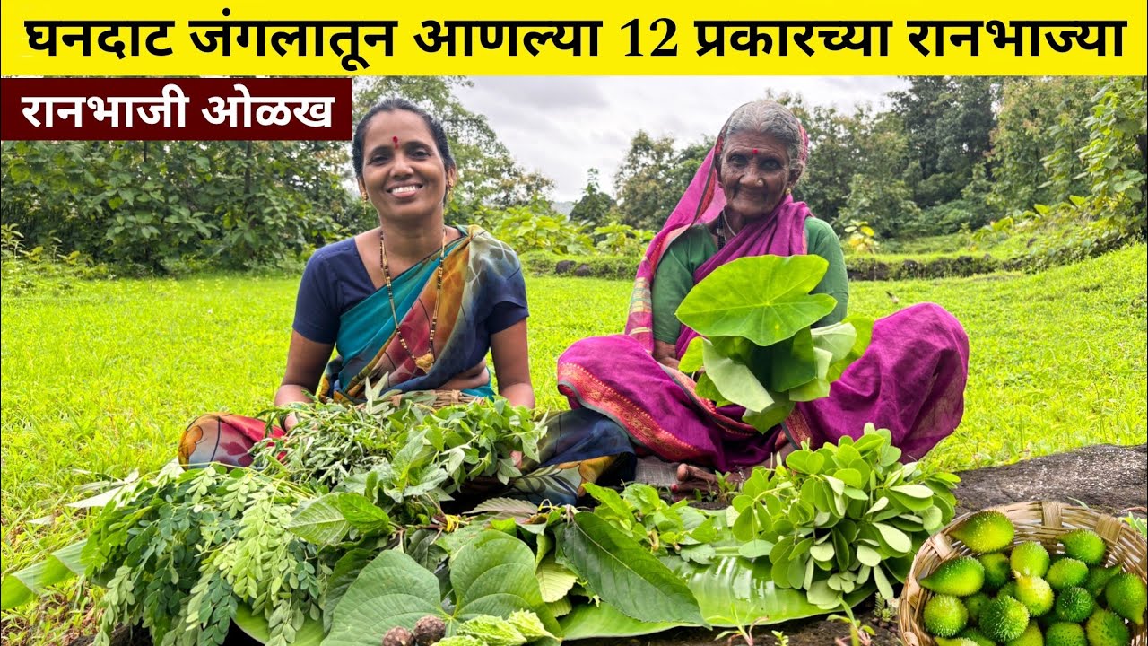 बापरे !! आम्ही घनदाट जंगलातून आणल्या 12 वेगवेगळ्या प्रकारच्या रानभाज्या