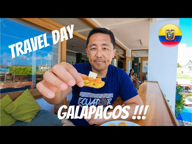 Ultimate Travel Guide To The Galapagos 2024