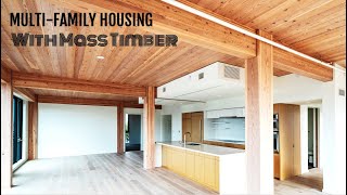 Mass Timber in MultiFamily Housing