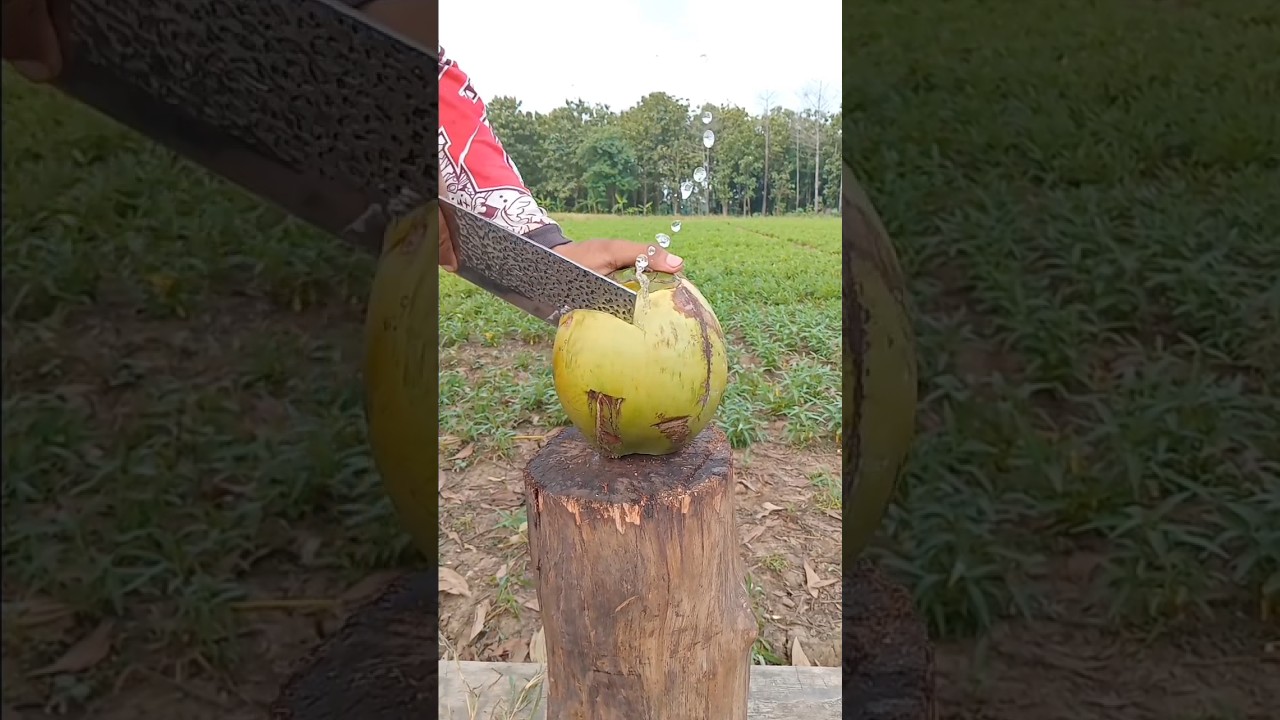 Very professional coconut peeling 