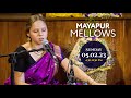 Krishna priya devi dasi  mayapur mellows  5th february 2023