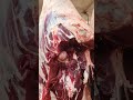 Slaughterhouse freshmeats bestwork halalslaughter goldenmeat halalmeats butcher abbattoirs