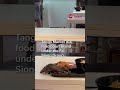 SFA investigating video of rat at Tangs Market