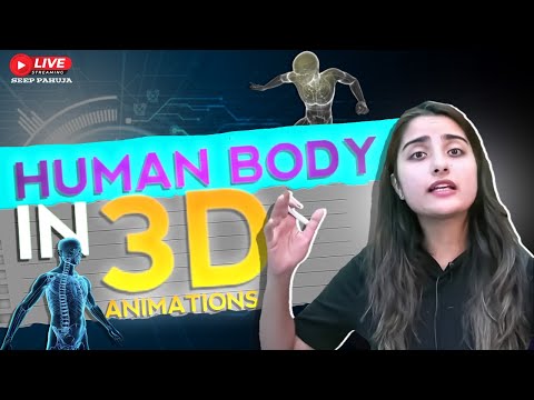 Human Physiology in