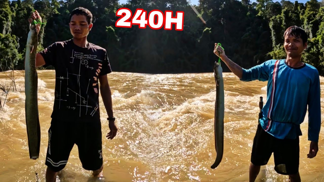 Mùa Nước Lũ Về Là Lúc Cá Lớn Đi Săn Mồi  | 10 Ngày Đêm Ngủ Giữa Rừng Săn Cá lăng Rừng Mưa (phần 1)