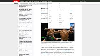 VINTAGE DOMINANCE! Volkanovski KO's Evloev & Petr Yan Silences Merab! (UFC 333 Takeaways)