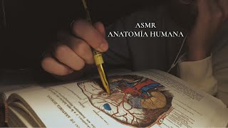 ASMR | Human Anatomy in Soft Spoken Language. [MEDICINE to help you sleep] screenshot 4
