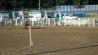 MVI_4351.AVI Meghan& L.J. figure 8   2010 rodeo