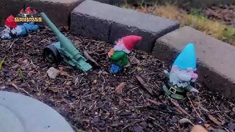 Meet the Warrior Gnomes: Guardians of Your Garden and Humanity!