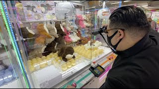 カワウソ救出大作戦。