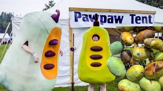 2023 Ohio Paw Paw Festival by Smoky Mountain Homestead 397 views 7 months ago 14 minutes, 15 seconds