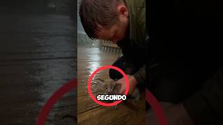 No Creerás Cómo El Lince Agradeció A Su Familia Humana