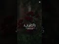 لعلكم ترحمون ❤️ تلاوة روحانية جميلة خاشعة ❤️ #قران_كريم