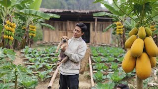 Download Lagu Trieu Thuan is gradually adapting to a simple lifestyle – raising dogs and cooking at home. MP3