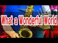 ▶ What a Wonderful World◀Louis Armstrong,Kenny-G.ver  この素晴らしき世界に!!【サックスで名曲  31】🎷テナー・ソプラノ・サックス・カバー🎷