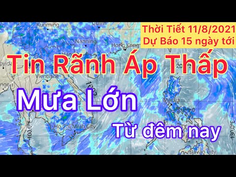 Video Dự báo Thời tiết ngày 11 tháng 8 năm 2021 | Tin Mưa... - youtube