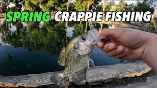 2024 Spring Crappie Fishing!! (Personal best day)