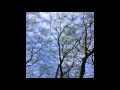 ACO - Kiss