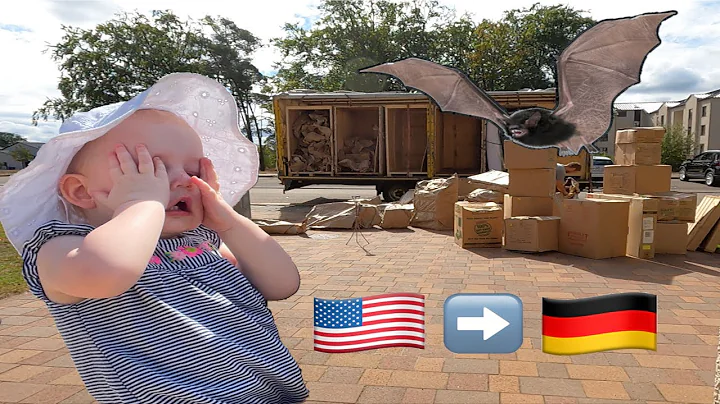 Moving Nightmare! PCS move - toddler attacked by b...