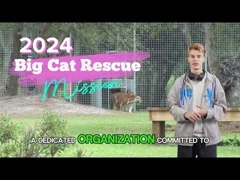 Big Cat Rescue Mission Statement 2024