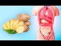 Health Benefits of Ginger - What is ginger good for?