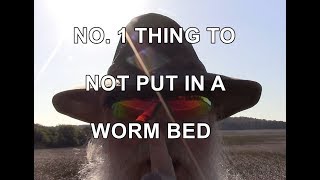 Number One Thing Not To Put In Worm Beds
