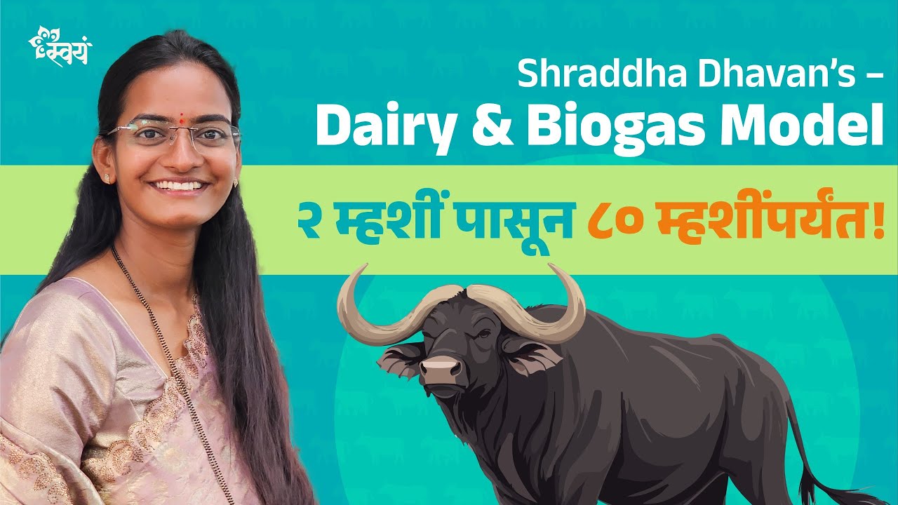 2 म्हशींपासून 80 म्हशींपर्यंत! Waste → Best कमाई 💰 || Shraddha Dhavan