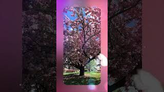Rutgers Douglass Campus 2023 Spring