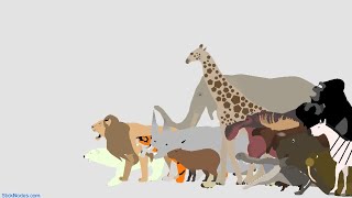 Walking With Modern Beasts (My Version)