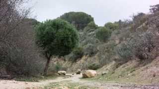 BlackMagic Pocket Camera & The FIVE Dollar Lens screenshot 5