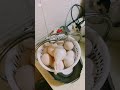 كل وحدة شدت قنت قالولكم لقيلولة و أنا مسكينة بقيت واحلة Triste فروينة كفما شفتوا كل وحدة شدت قنت قالولكم لقيلولة و أنا مسكينة بقيت واحلة Triste فروينة كفما شفتوا