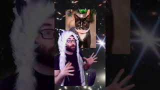 You can change the color of the cat in Stray with mods