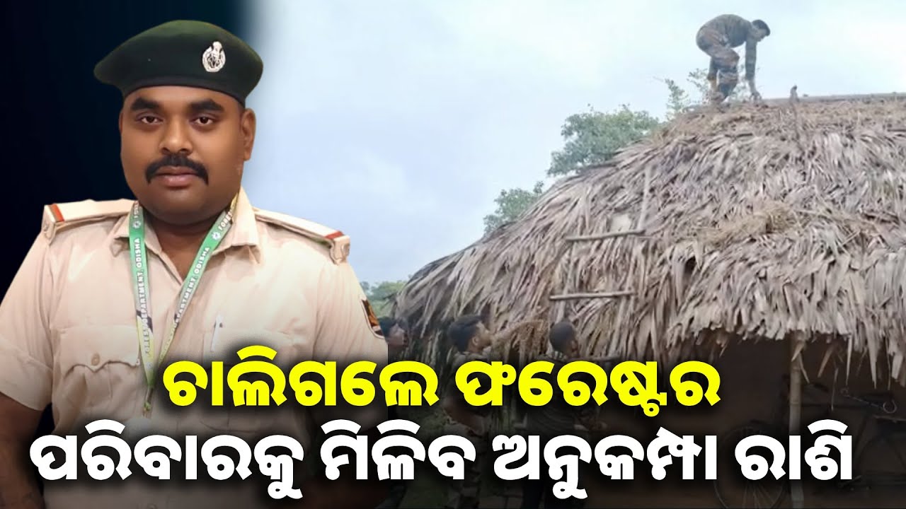 ଶିକାରୀକୁ ଧରିବାକୁ ଯାଇ ଗୁଳିମାଡ଼ରେ ଚାଲିଗଲା ଫରେଷ୍ଟରଙ୍କ ଜୀବନ || Knews odisha