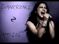 Evanescence - My heart is Broken (With Strings)