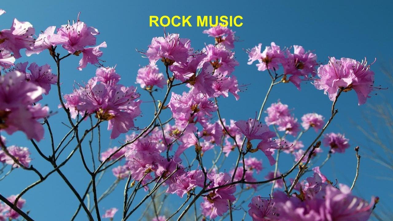 Rock Music, Relaxation Music, Stress-free Music, Insomnia Music, Yoga Music.