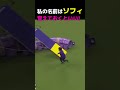 アジリティ大会に出場した古参の実力