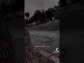 ملك الموت جاء الي ابراهيم ليقبض روحه بماذا رد عليه ابراهيم عليه السلام