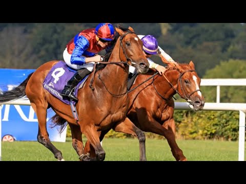 Luxembourg | arc contender 2022