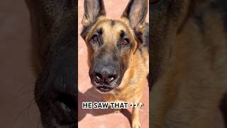 Interesting choice 👀