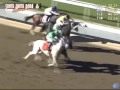 2011 Lady's Secret Stakes