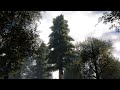 Tree  roblox moon animator  blender