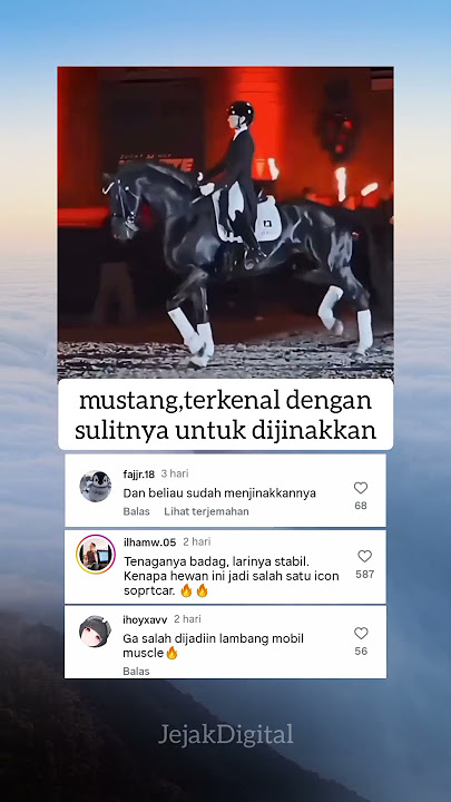 Mustang sangat mewakili kuda liar.                              #sports #kuda #kudaliar